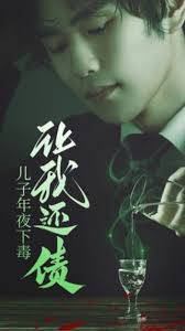 电影：儿子年夜下毒让我还债