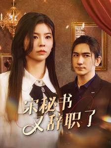 电影：宋秘书又辞职了