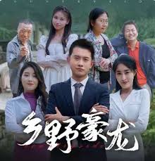 电影：乡野豪龙