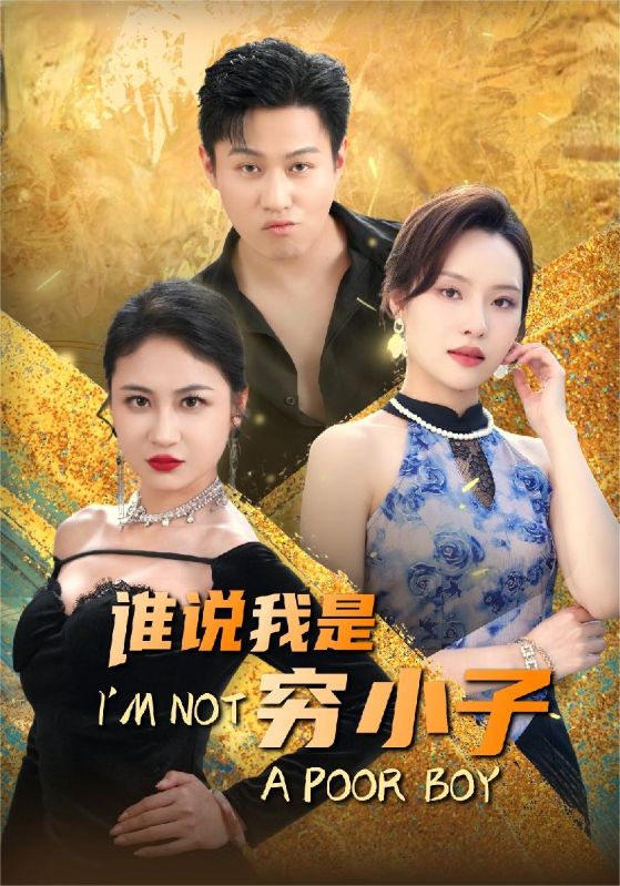 电影：谁说我是穷小子