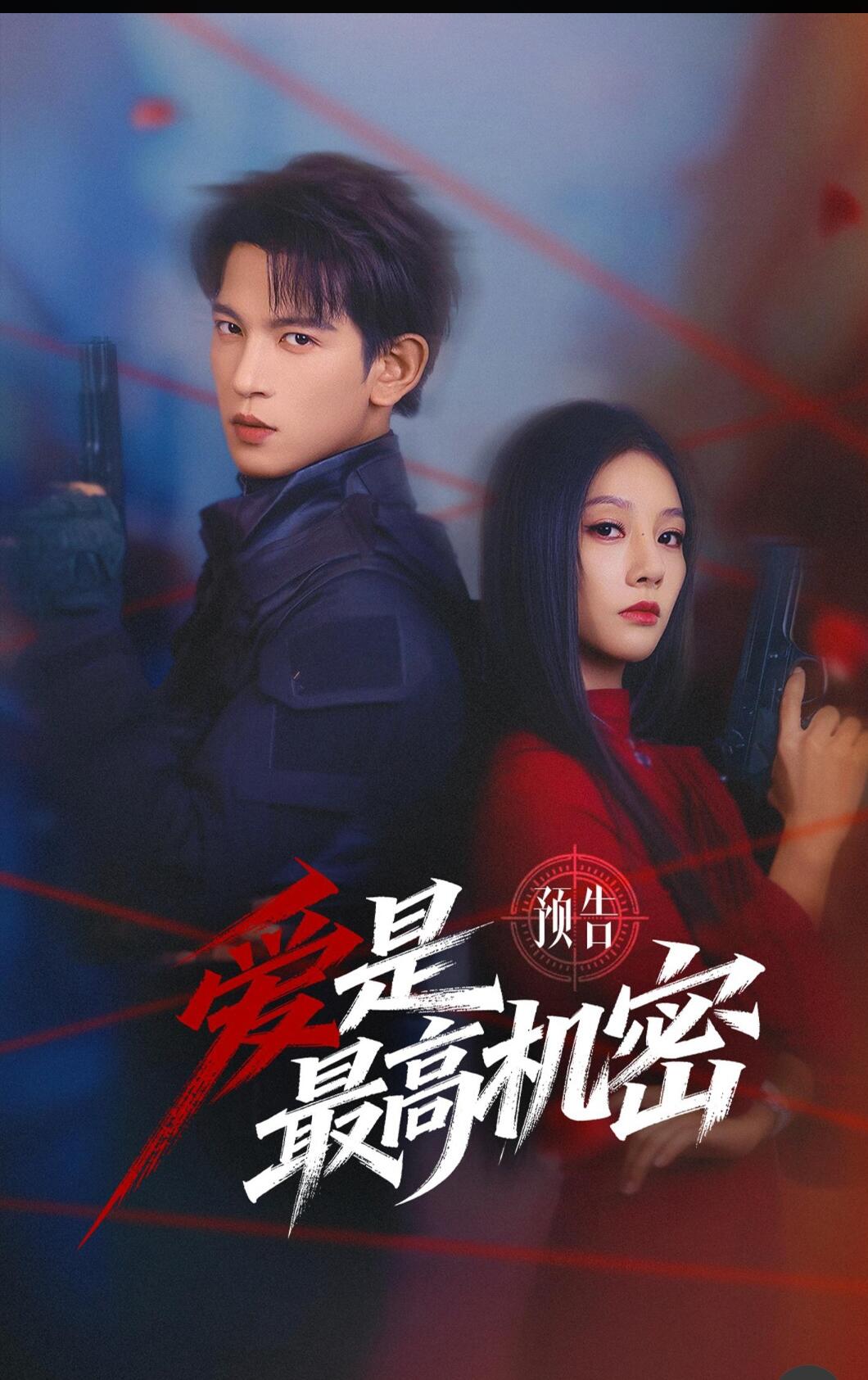 电影：爱是最高机密