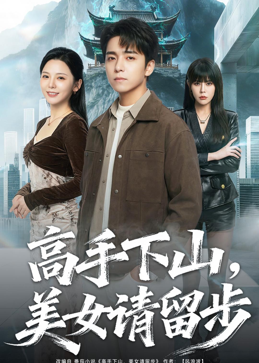 电影：高手下山，美女请留步